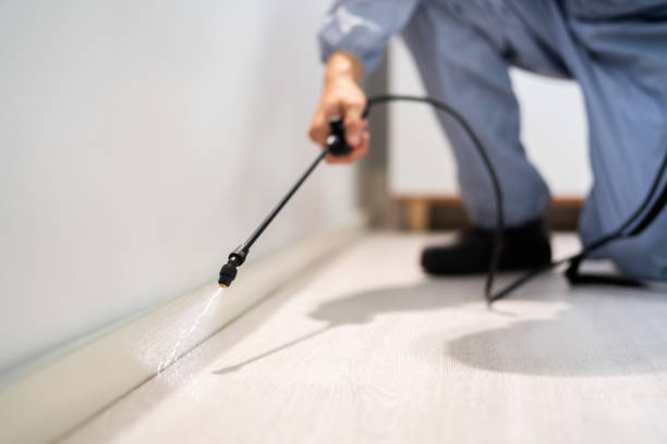 Licensed Termite Control service in Teton County County, WY - Nex Pest Control