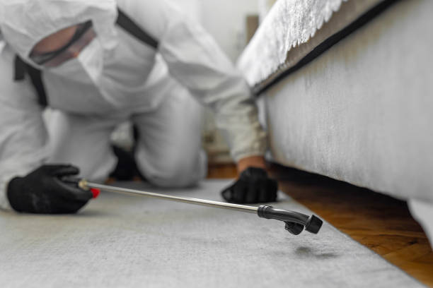Professional Termite Control technician working in Teton County County, WY